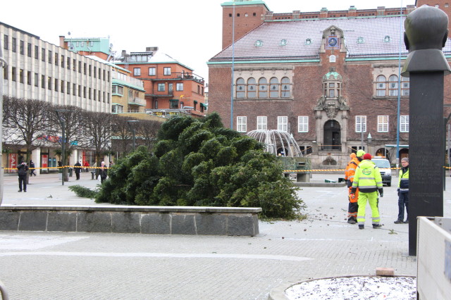 Stora torgets julgran "deltog" också i julgransplundringen på Ryaverket.