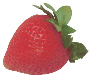 ekologiska jordgubbar